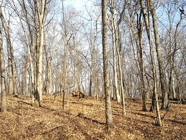 $6,000 | Lot 1808 Tanglewood Drive | Roberts Township - Marshall County