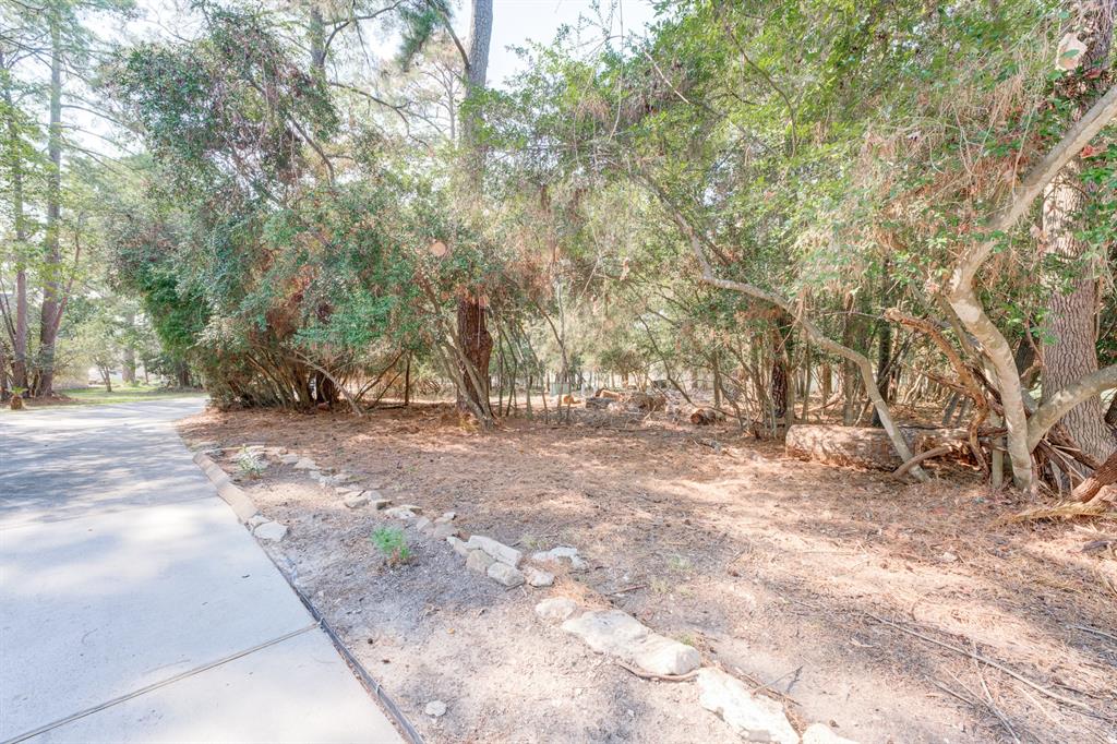 a view of backyard with outdoor space