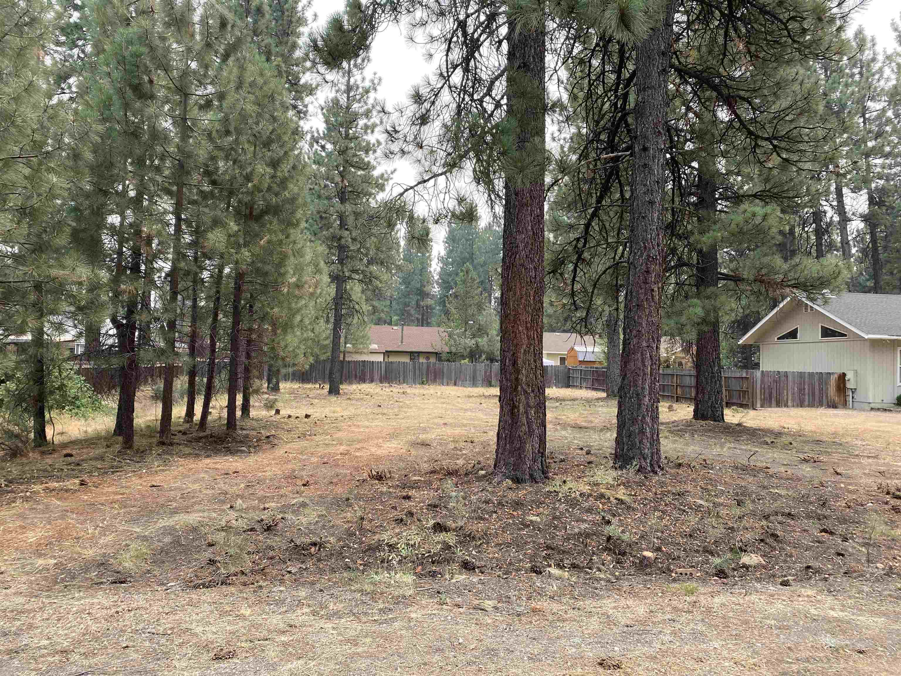 a view of a house with a yard and tree