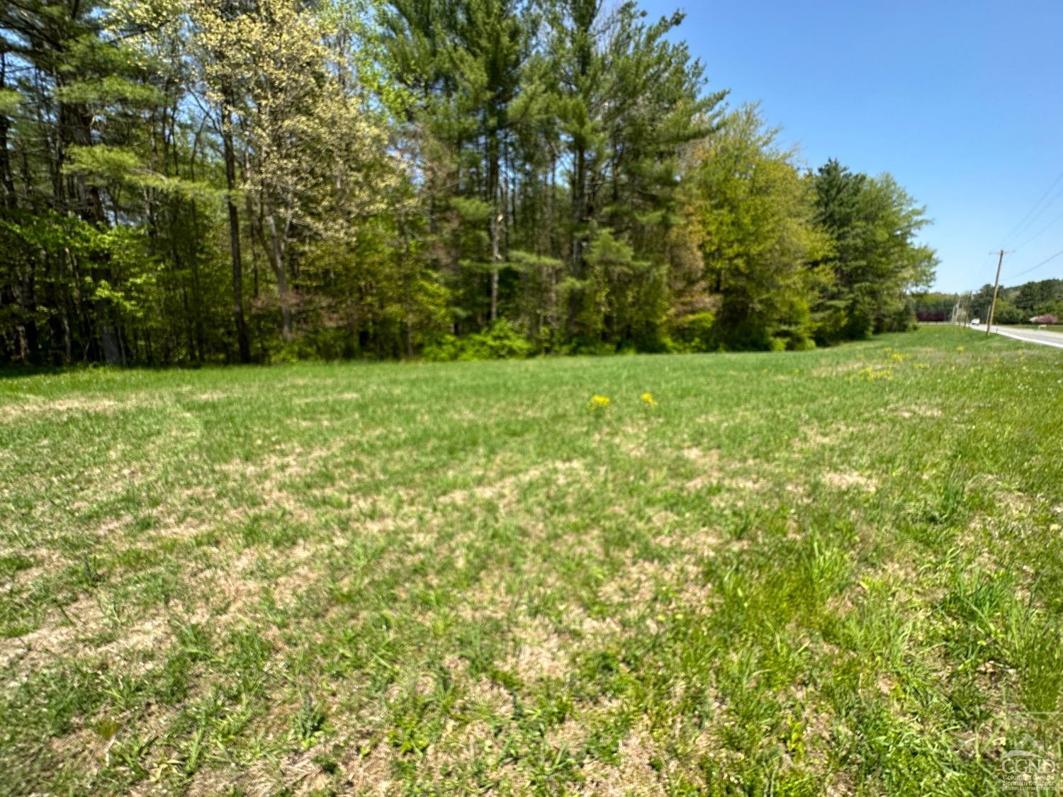 a view of yard with green space