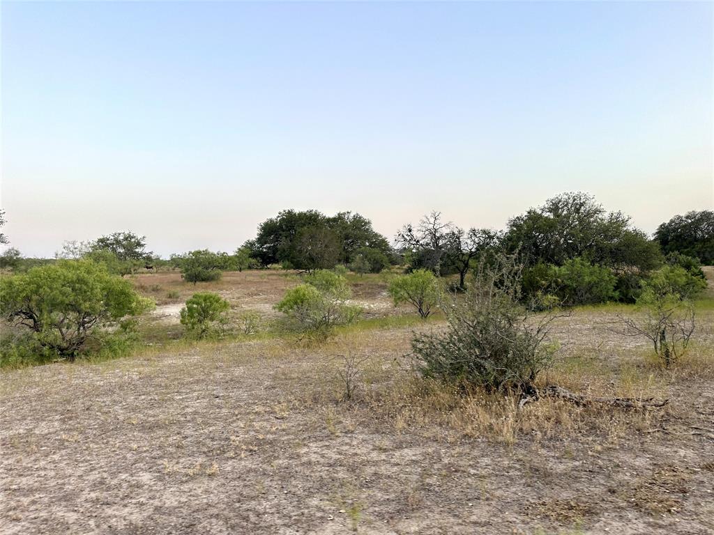 a view of a lake with beach and green space