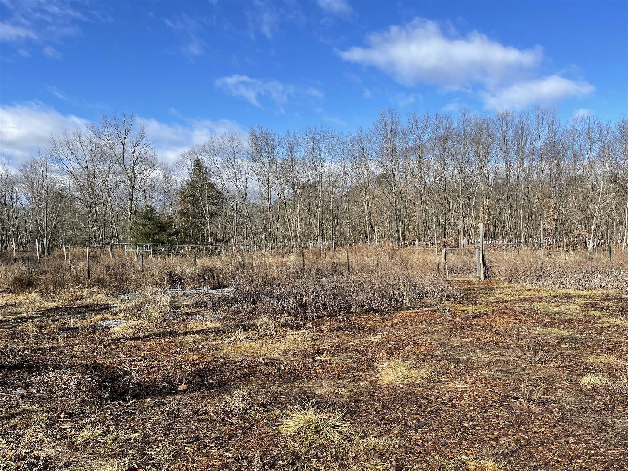 a view of a dry yard with trees