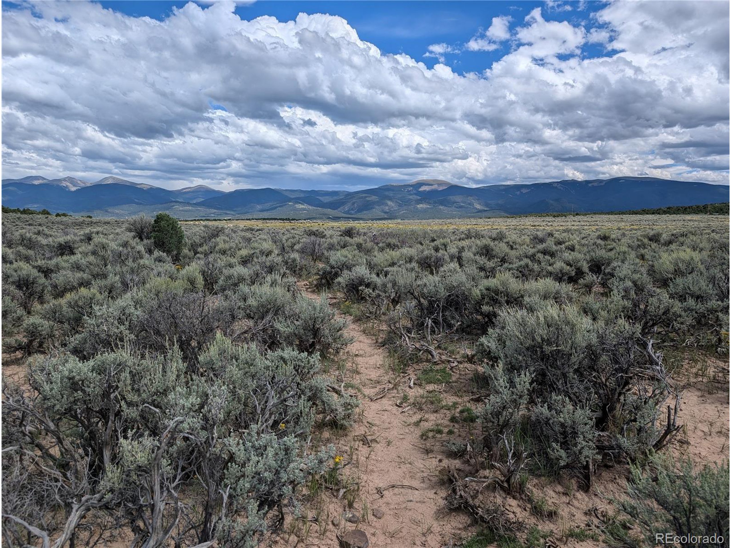 a view of a bunch of trees