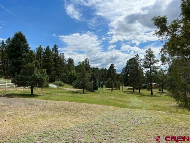 a grassy field with trees in the background