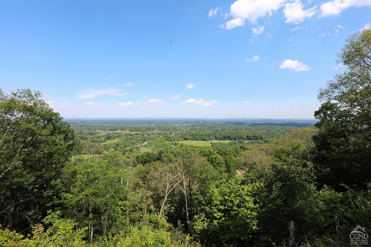 a view of a city and lush green forest