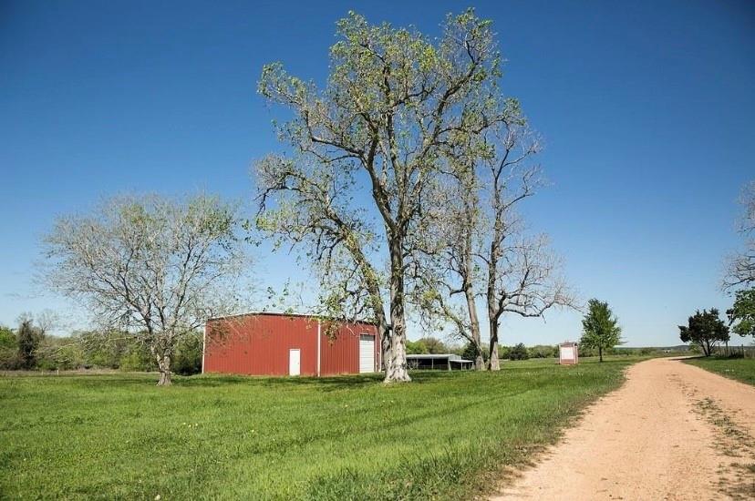 a view of a field of grass and trees