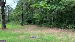 a view of outdoor space and green field