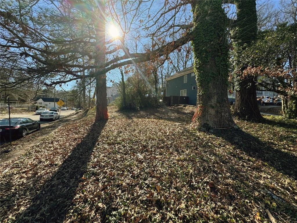 a view of a yard with a tree