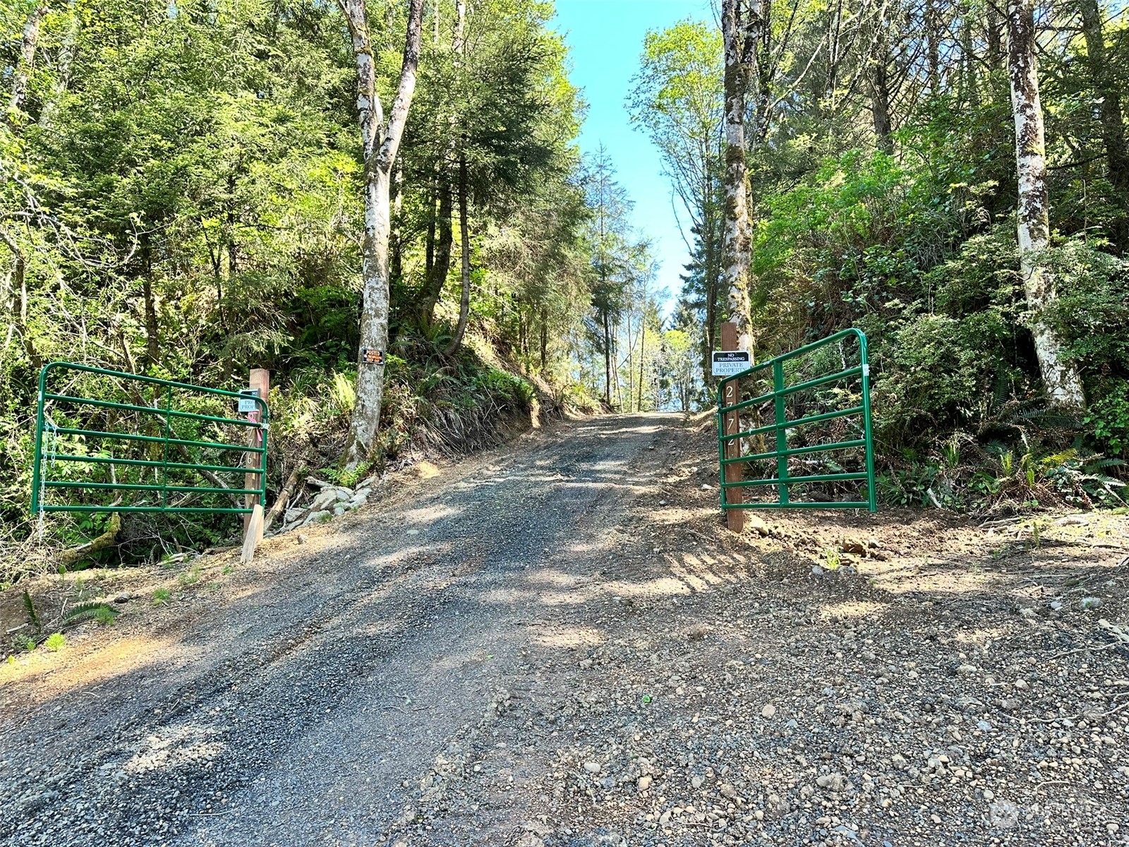 a view of a dirt road with trees in the background