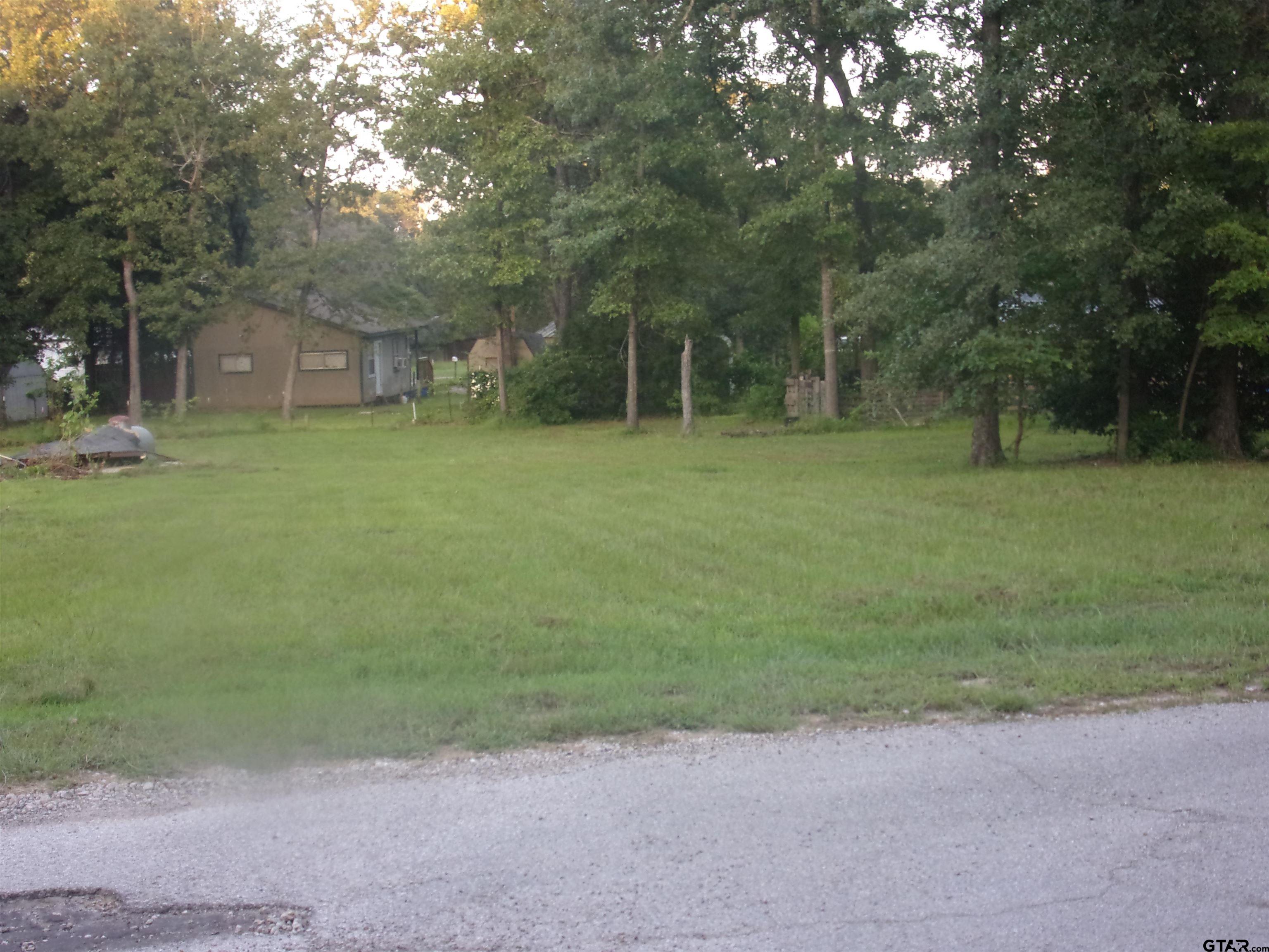 a view of a backyard with large trees