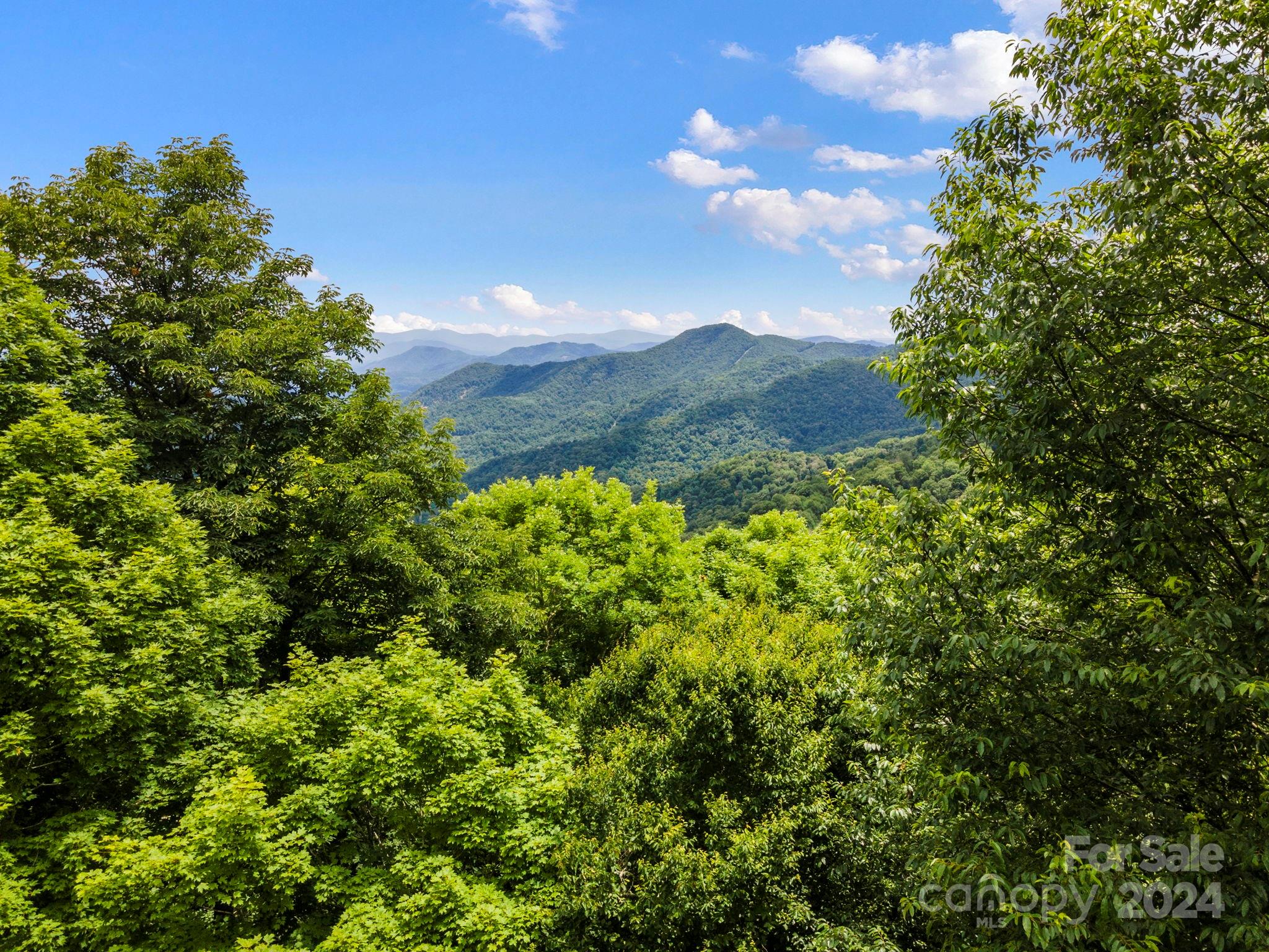 a view of a bunch of trees