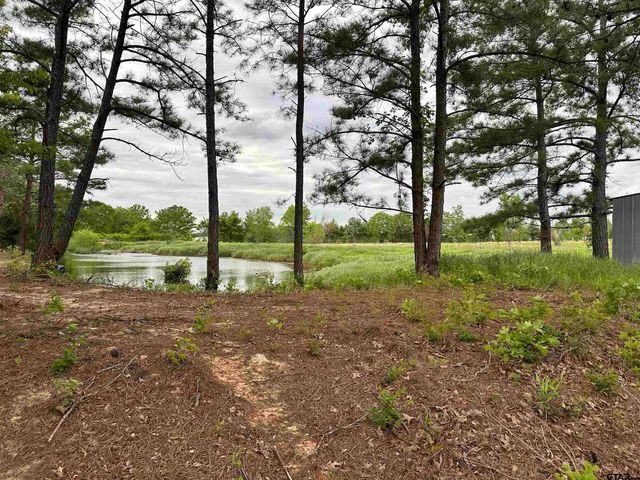 $113,000 | 2 Cr 3612 Brownsboro Tx 75756