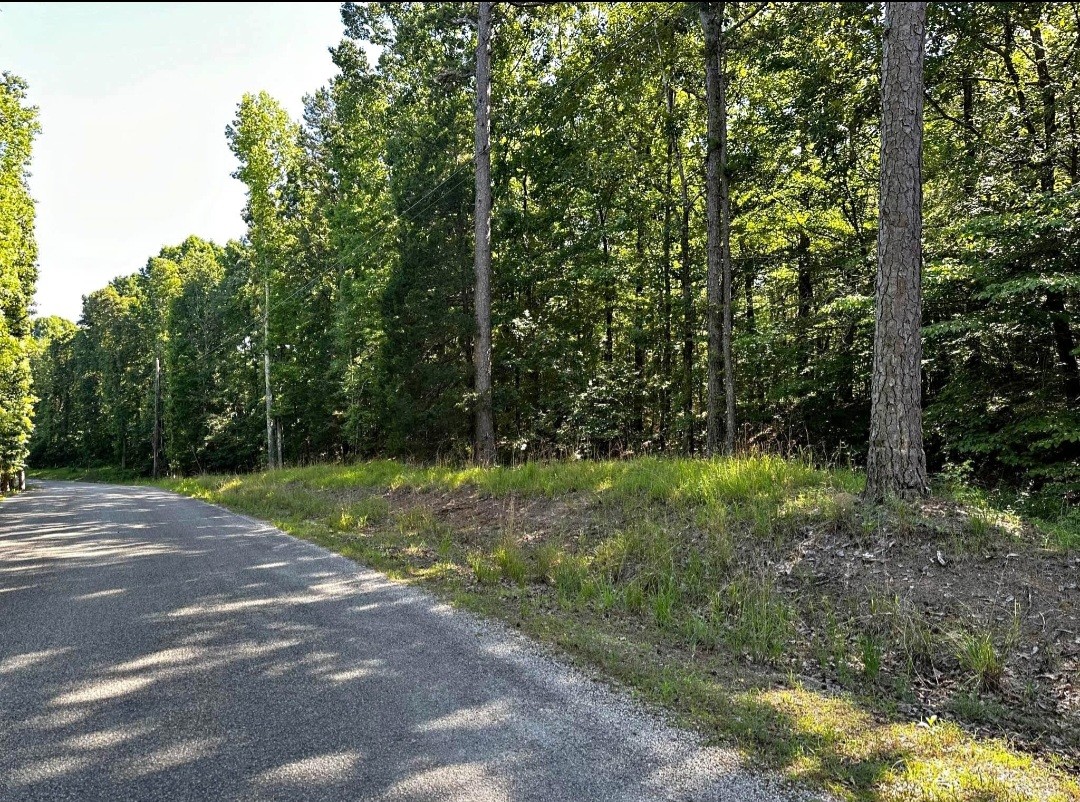 a view of a yard with a trees