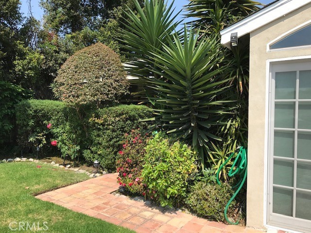 a view of a garden with plants