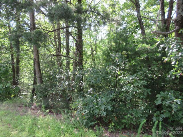 $12,000 | Lot 29 Linville Drive | North Cove Township - McDowell County