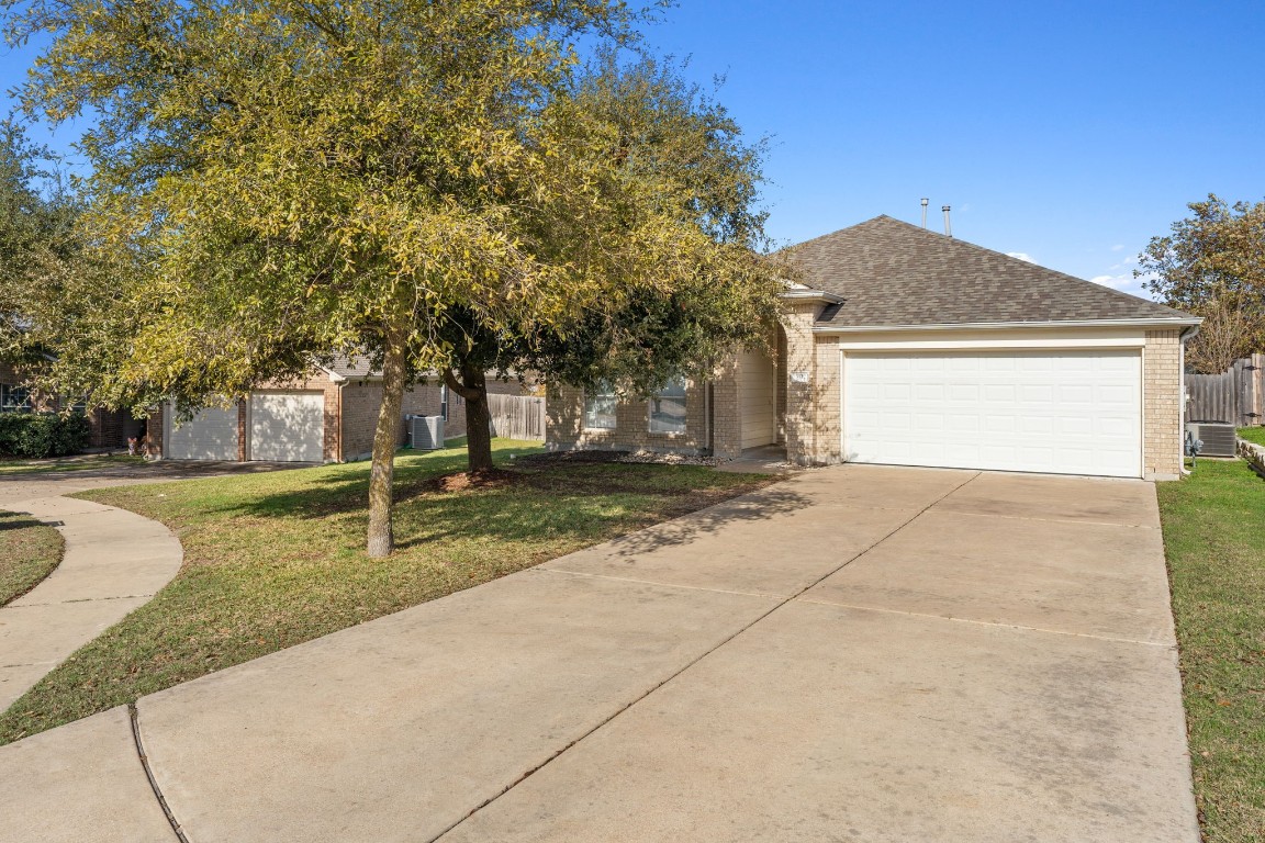 a view of outdoor space yard and tree