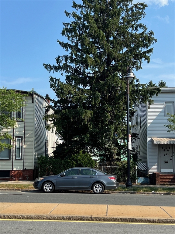 an outdoor view with plants