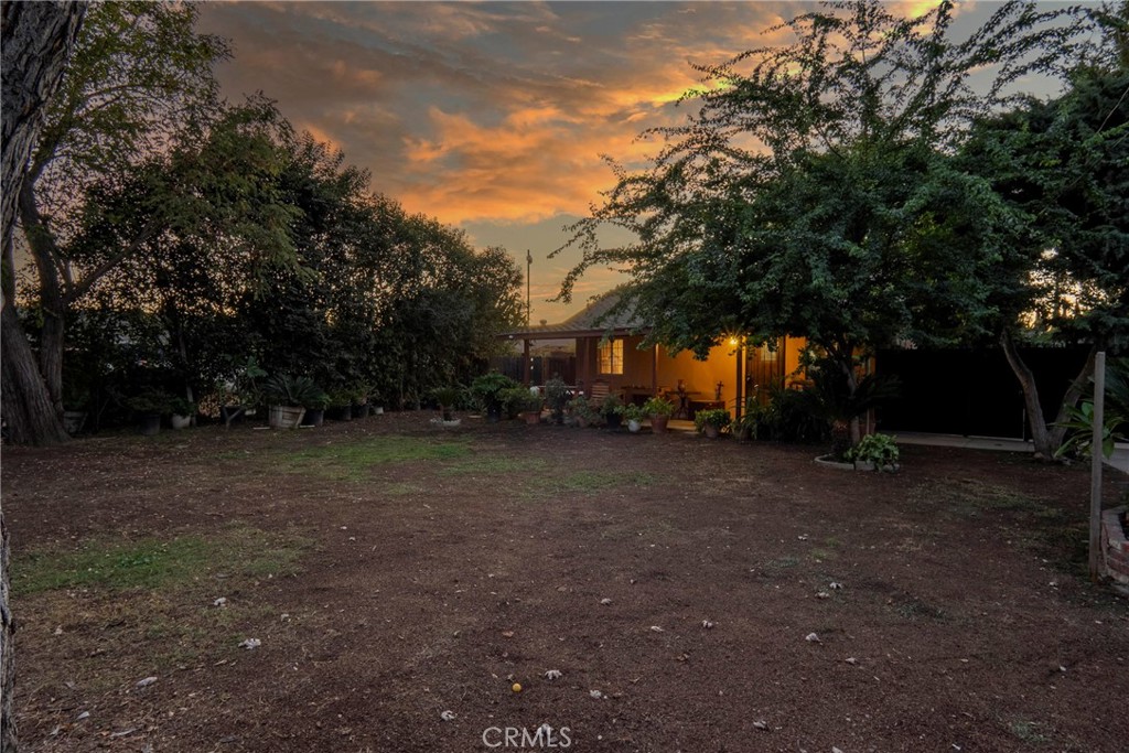 a view of a yard with a tree