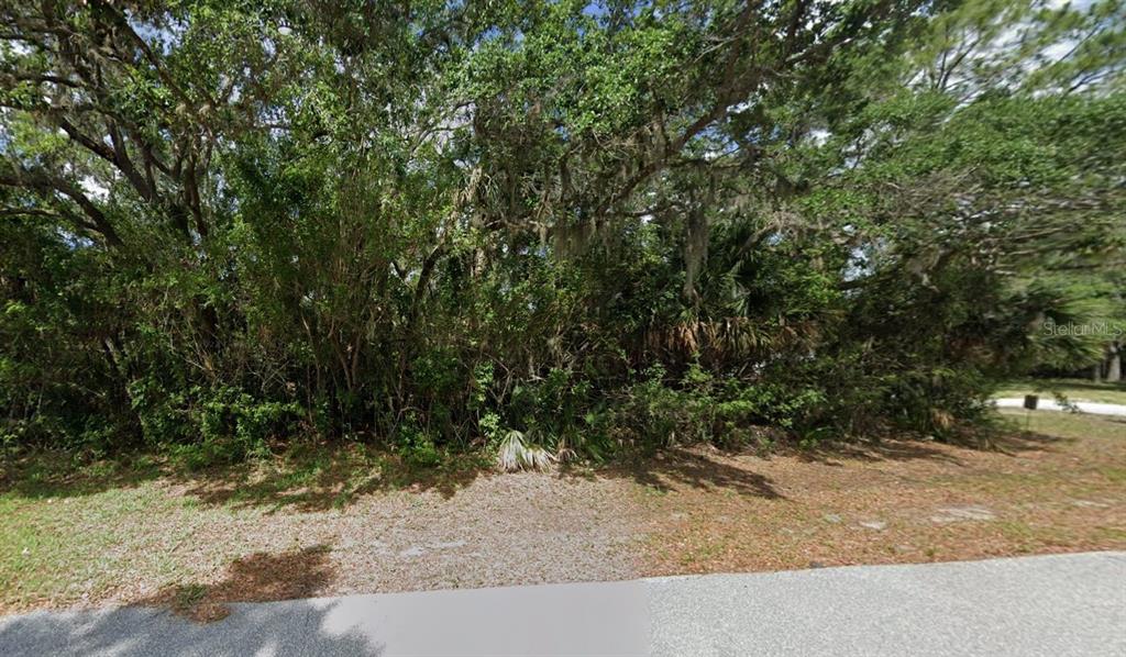 a view of a yard with plants and trees