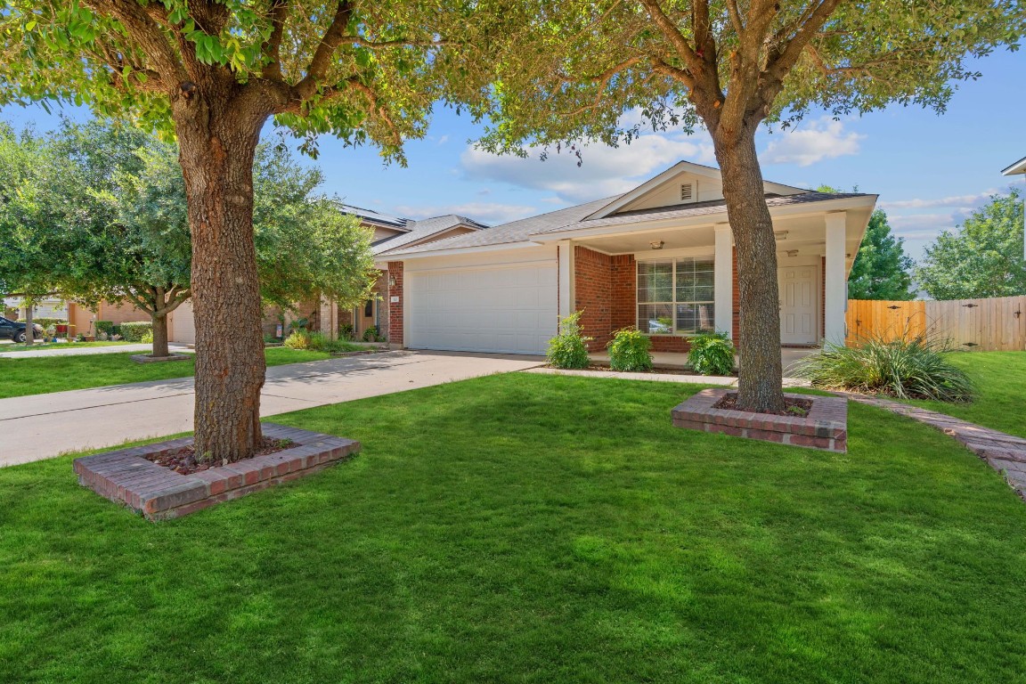 a front view of a house with a yard and tree