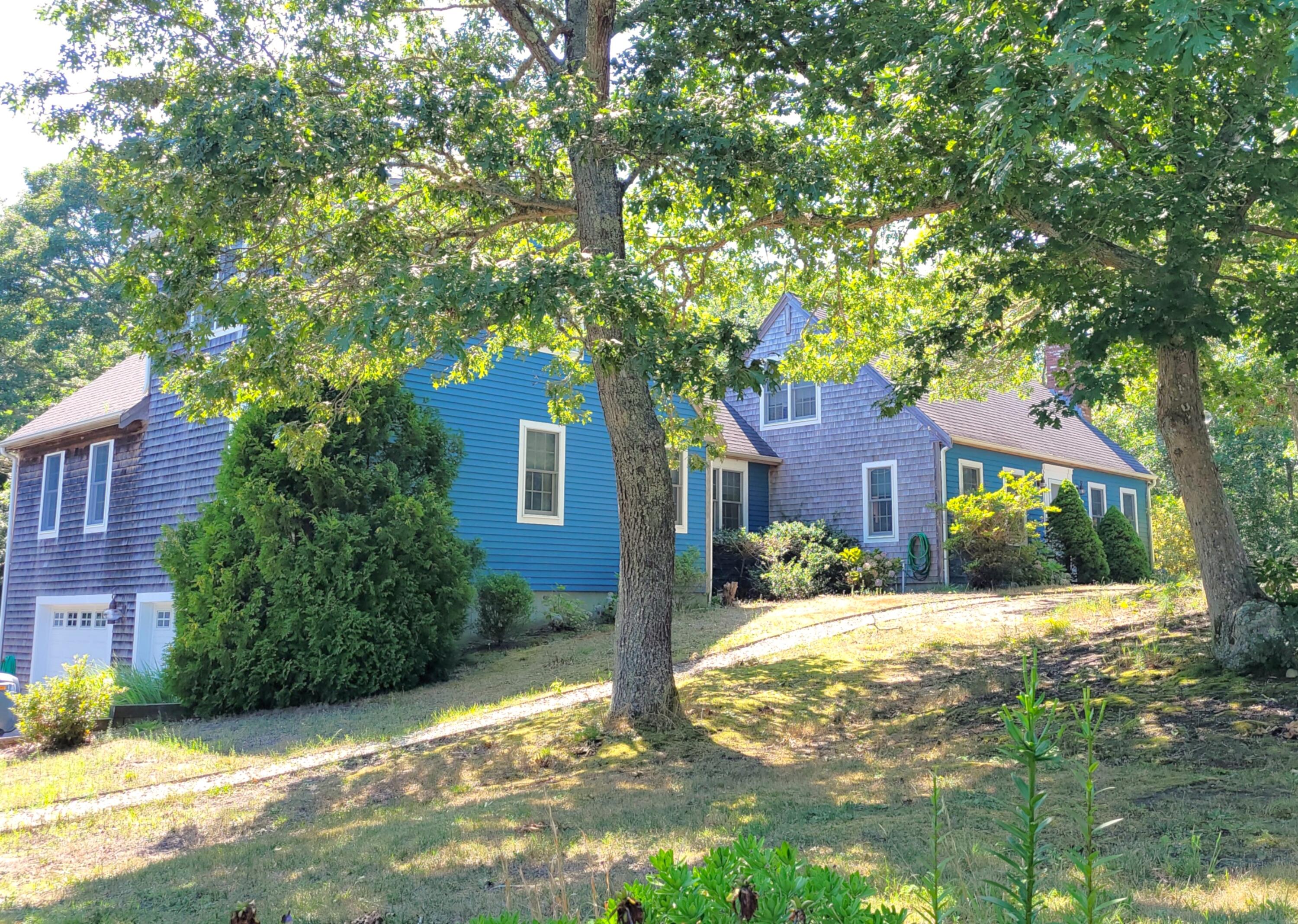 a view of a yard with plants and large trees