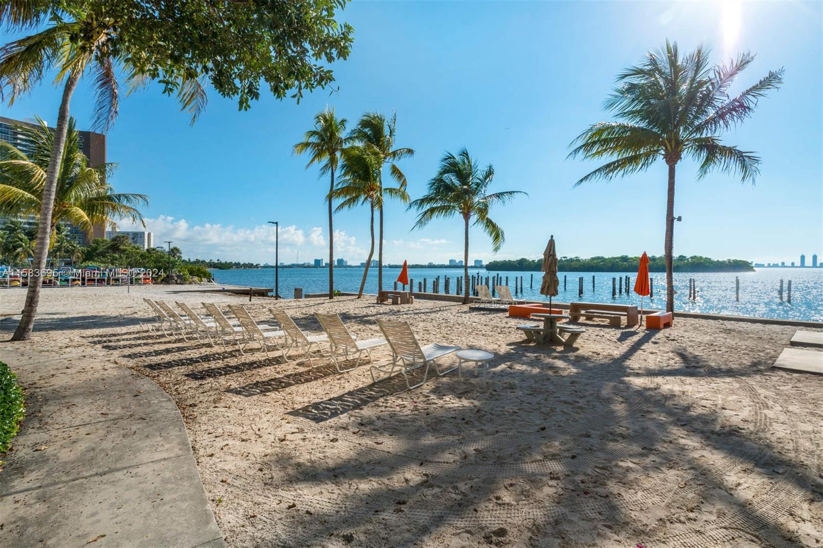 a view of road with palm trees