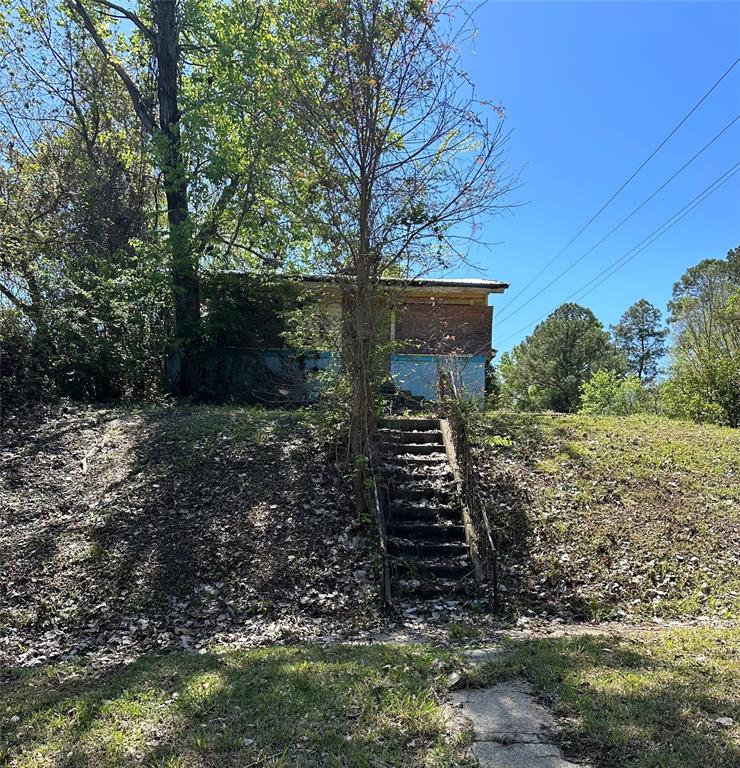 a view of outdoor space and yard