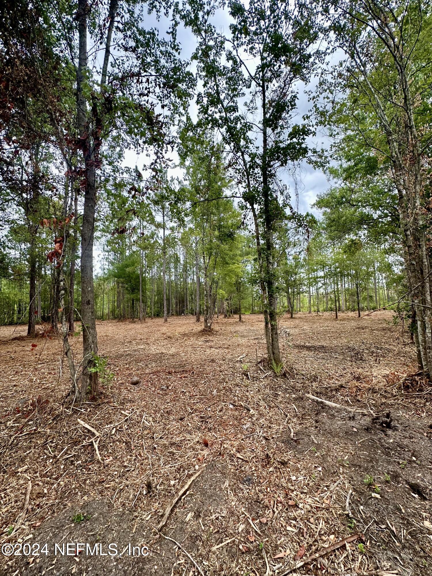 a view of outdoor space with trees