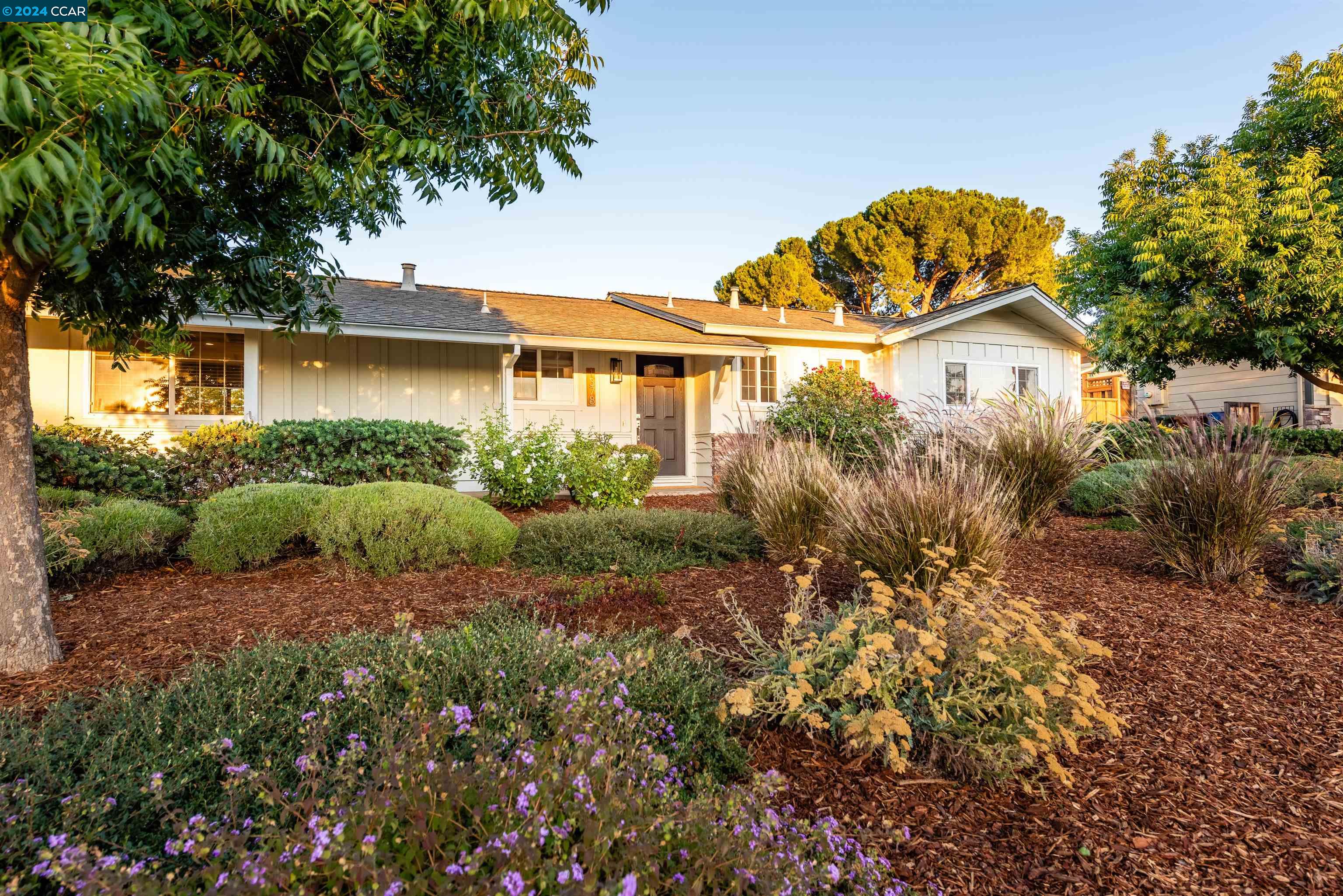 a view of a house with a small yard and potted plants