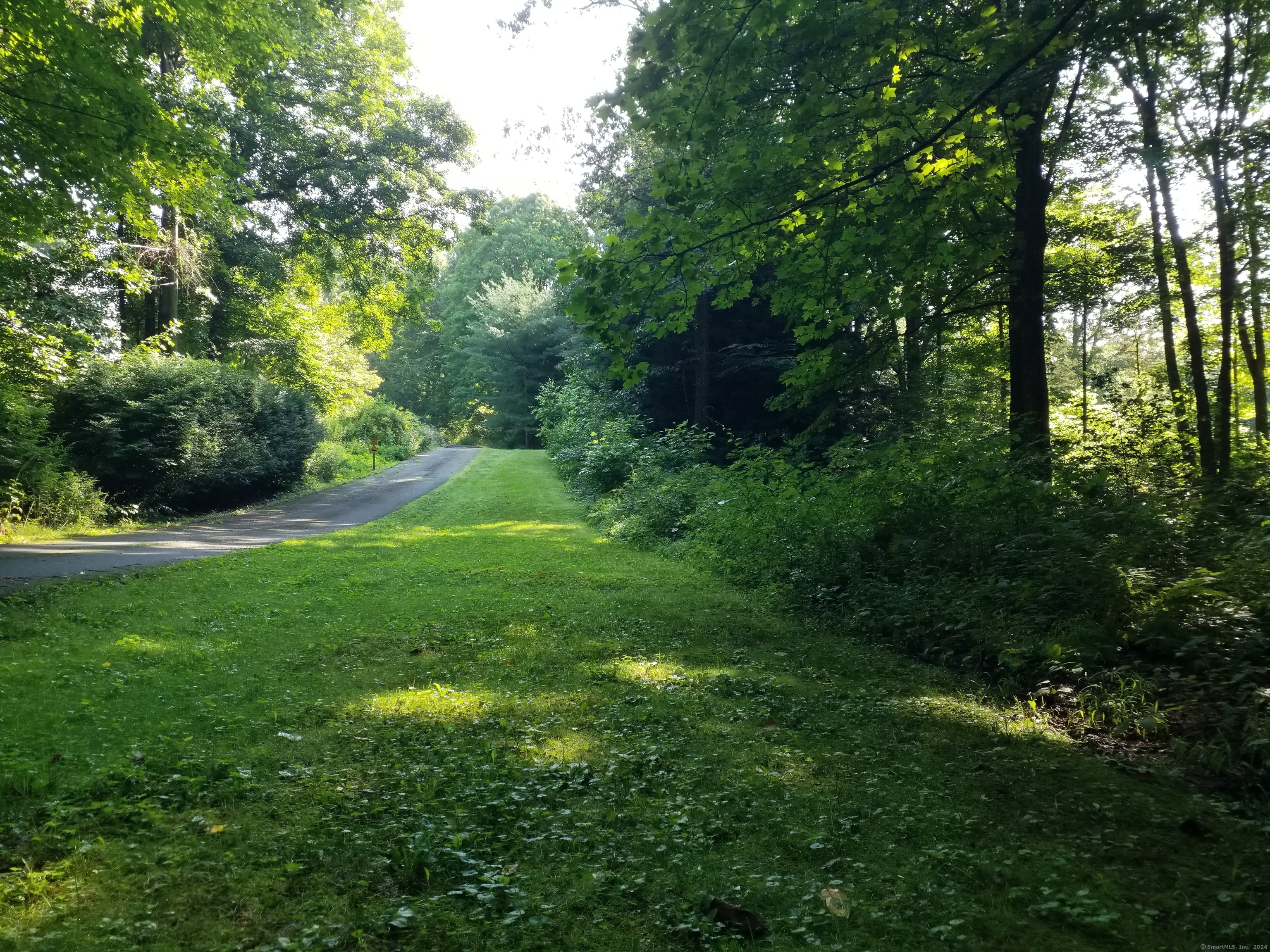 a view of yard with green space