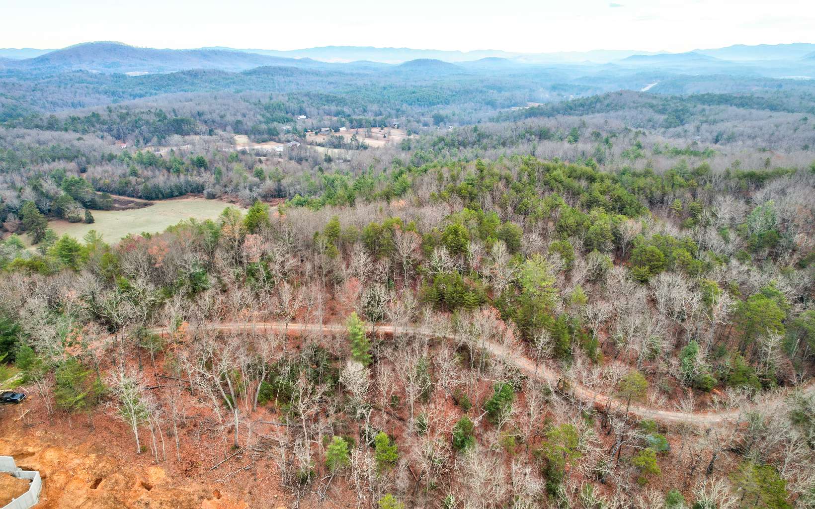 a view of a lake in middle of forest