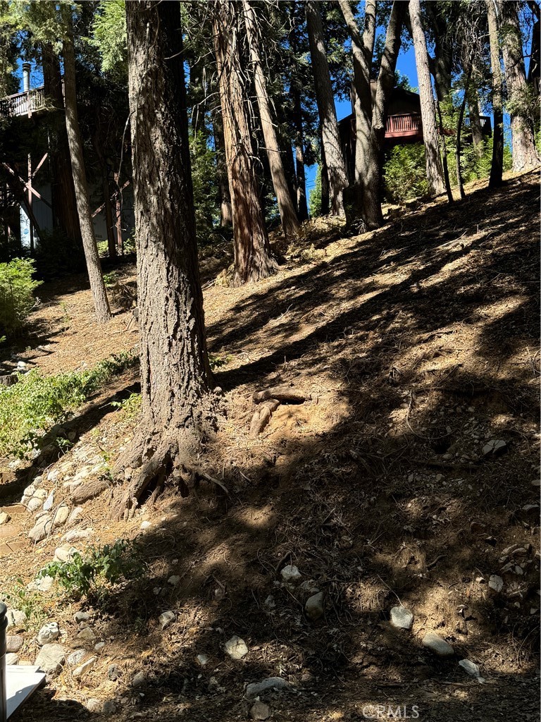 a view of outdoor space with trees