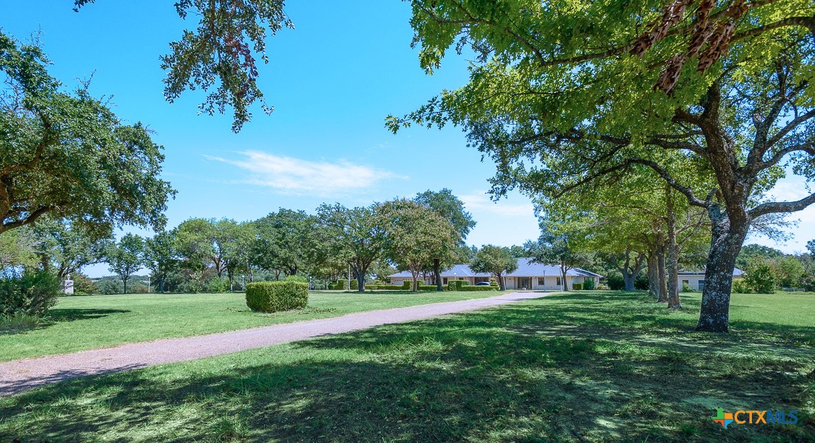 a view of green field with trees in the background