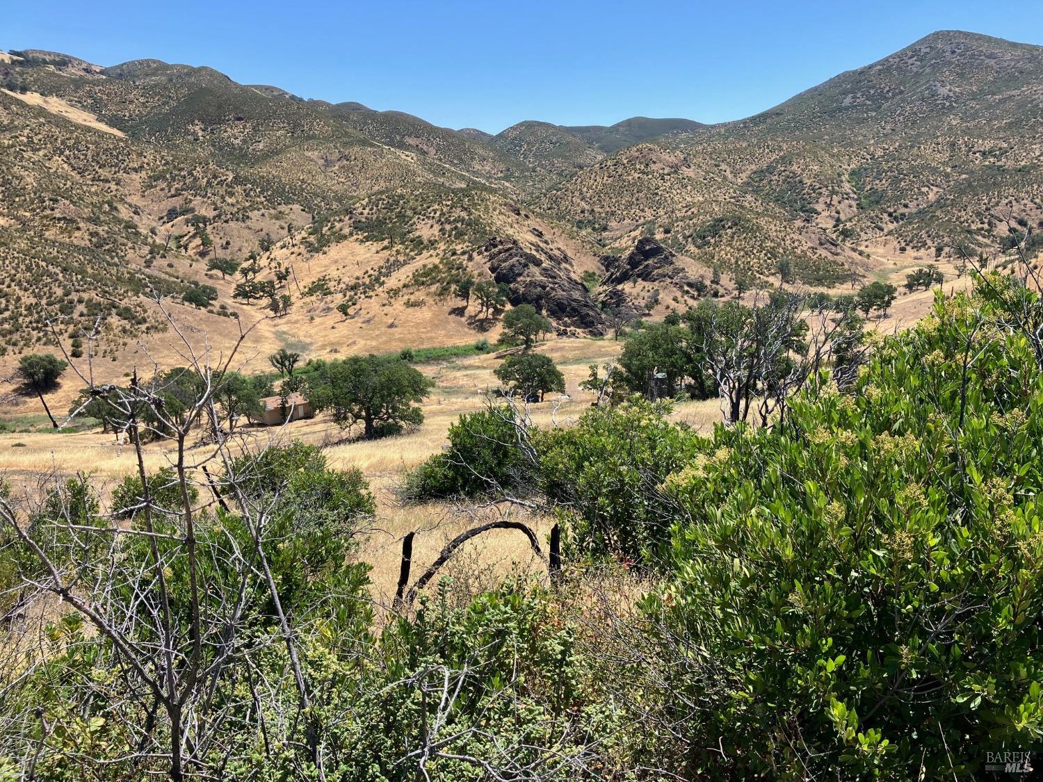 a view of a mountain in the distance in a field