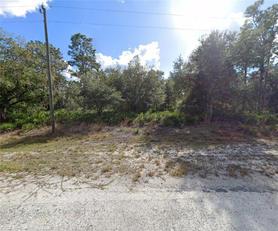 a view of a yard with a tree