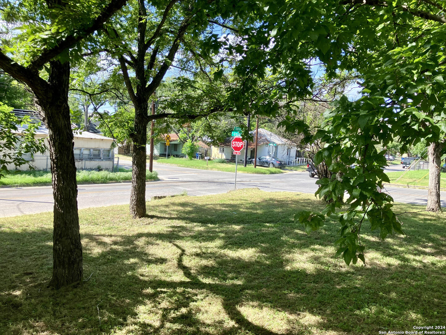 a small garden covered with tall trees