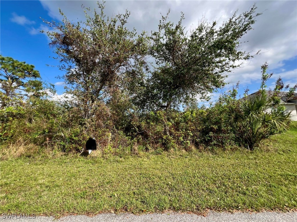 a view of a tree with a yard