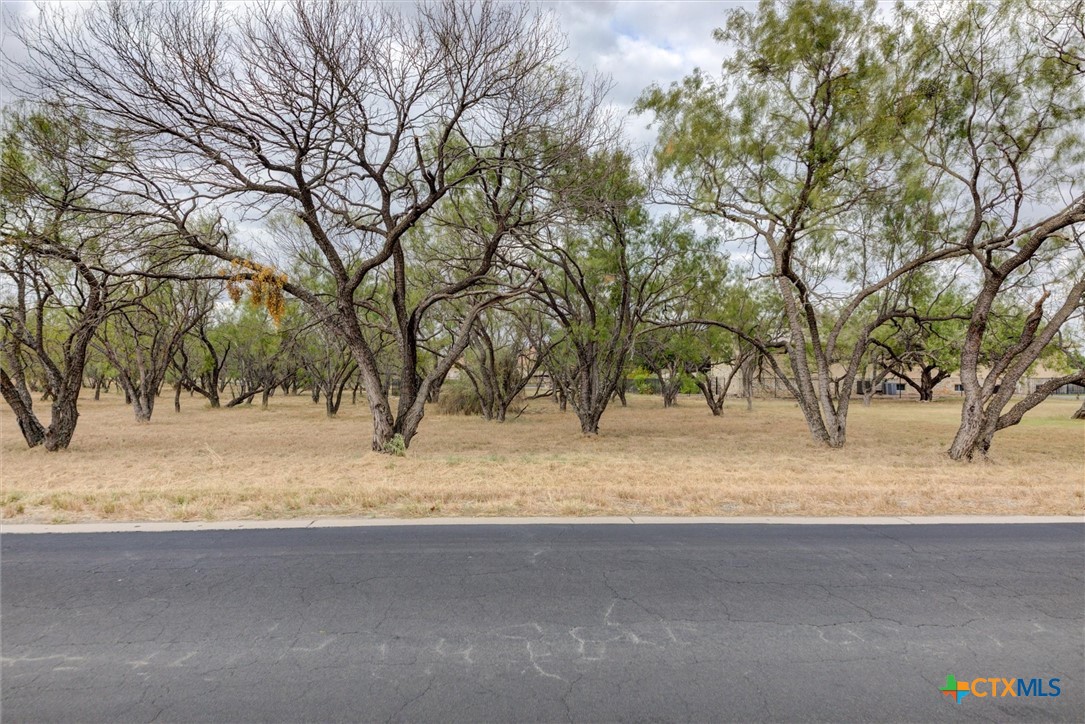 a view of yard with tree