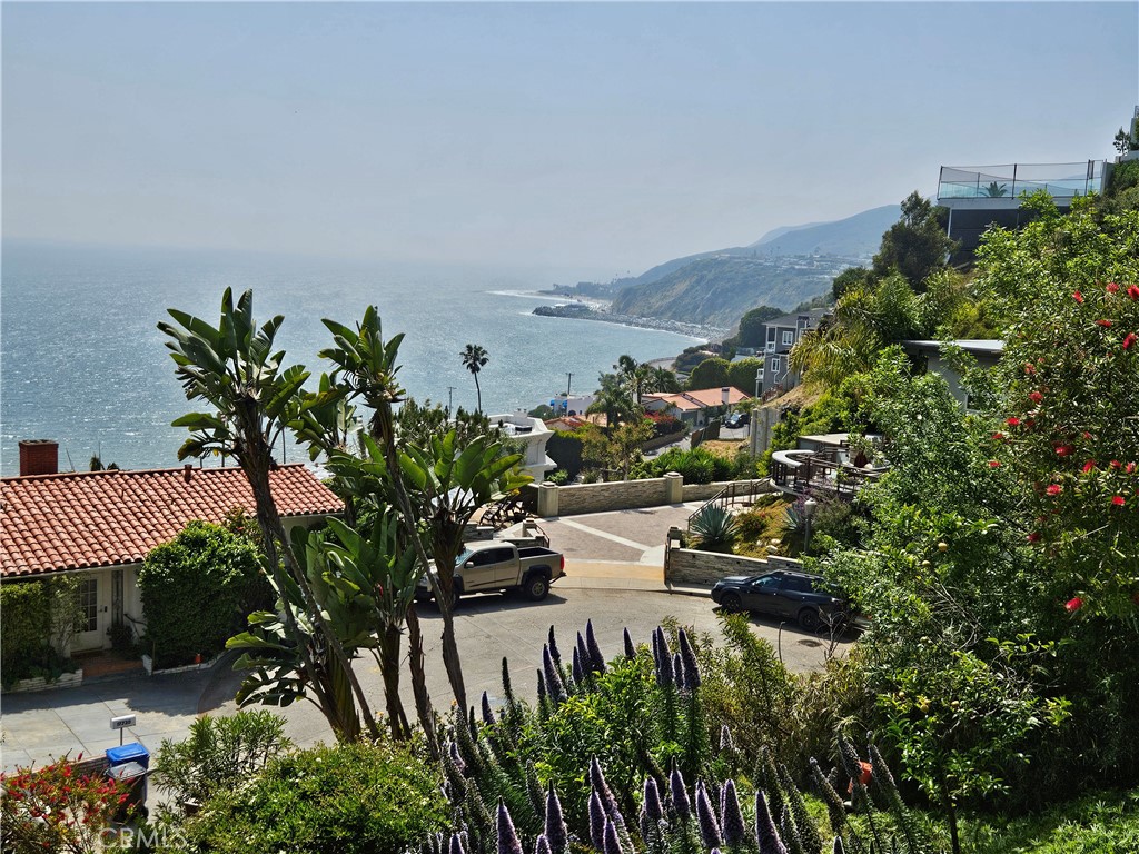 a view of a flower garden with a lake view