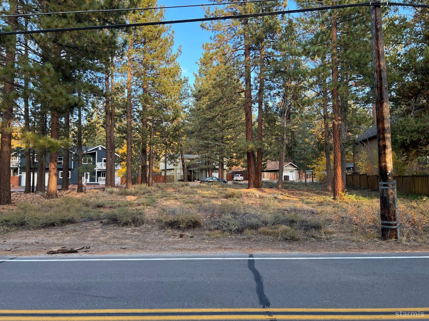 a view of a yard with a tree