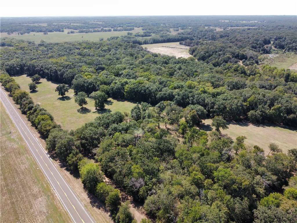 a view of a forest with a lake