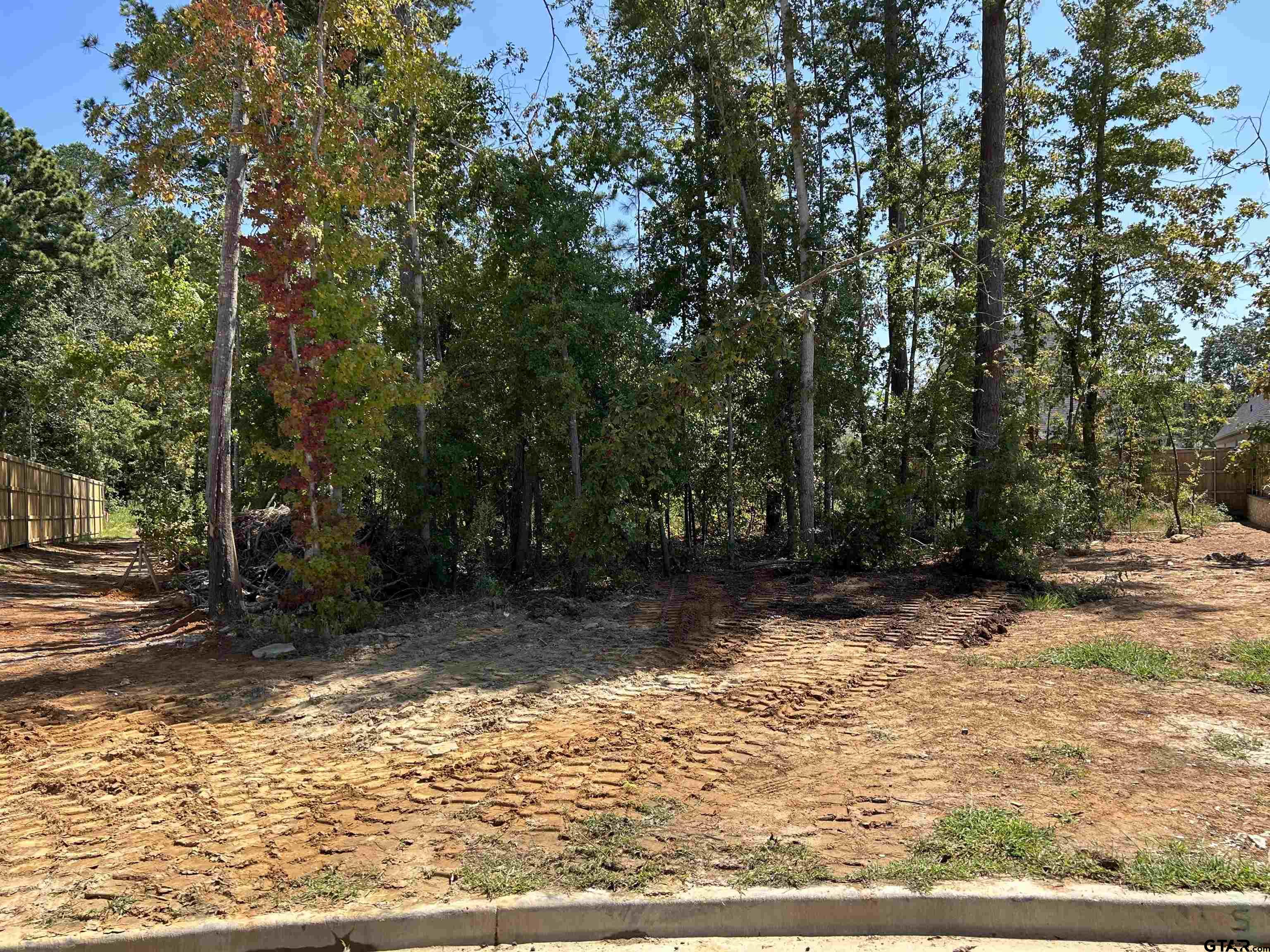 a view of a yard with a tree