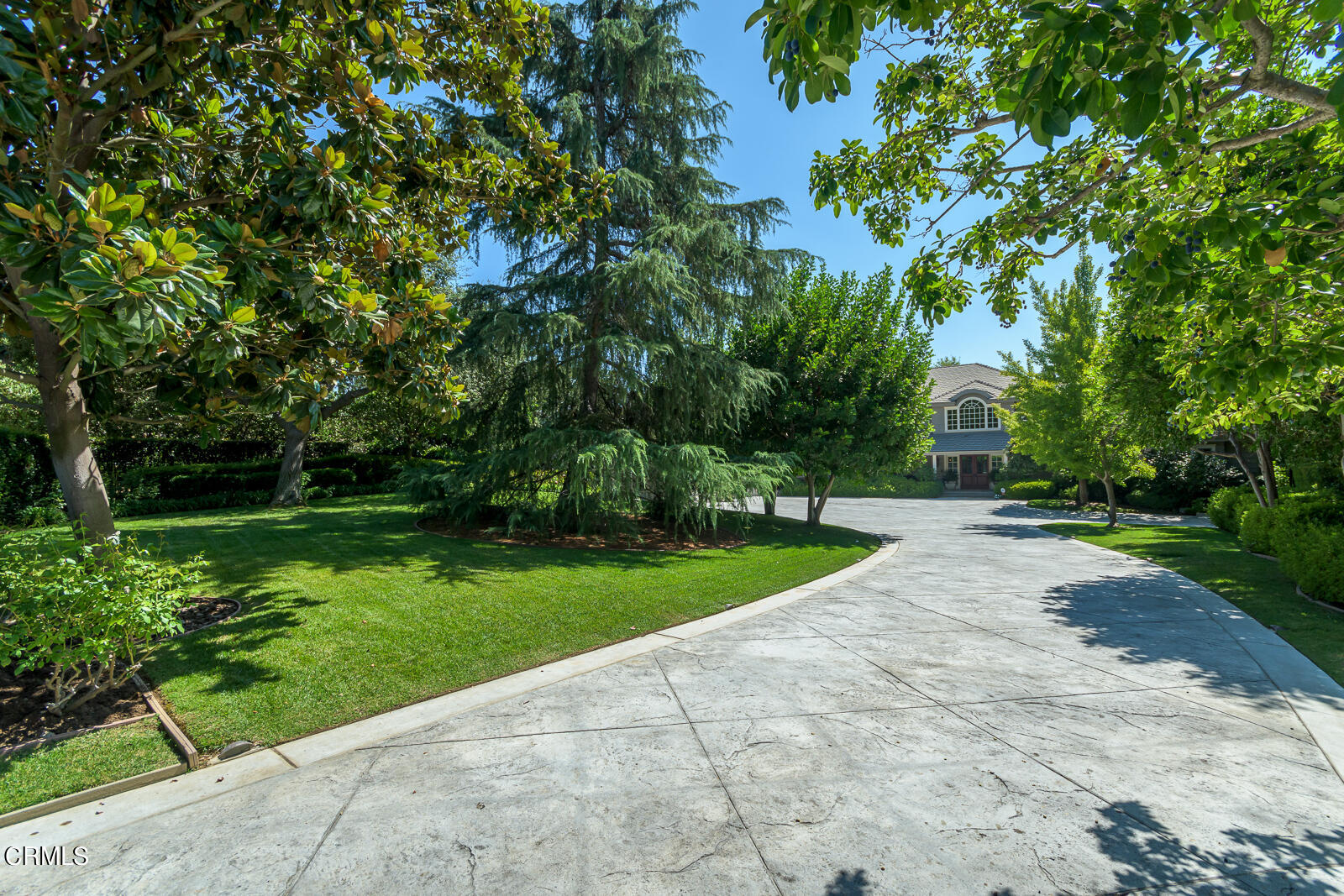 a view of a park with plants and trees