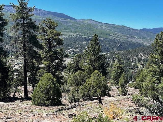 a view of a forest with a mountain and trees