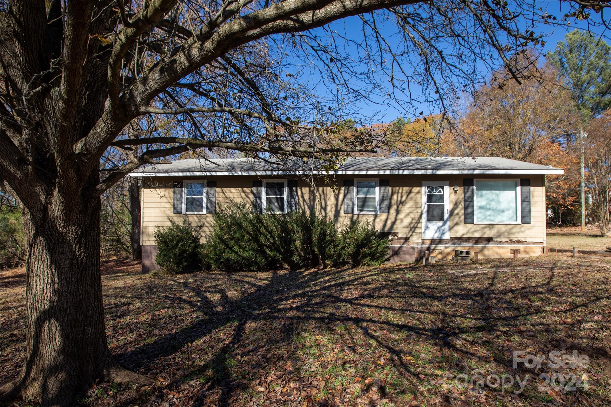 a backyard of a house with a large tree