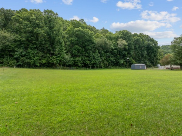 a view of a green field with clear sky