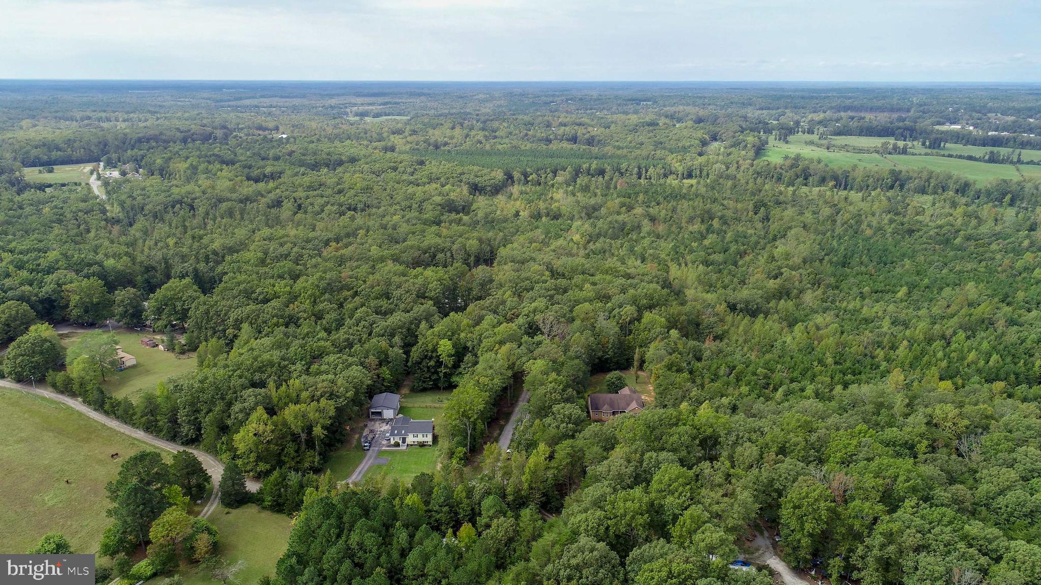 an aerial view of forest