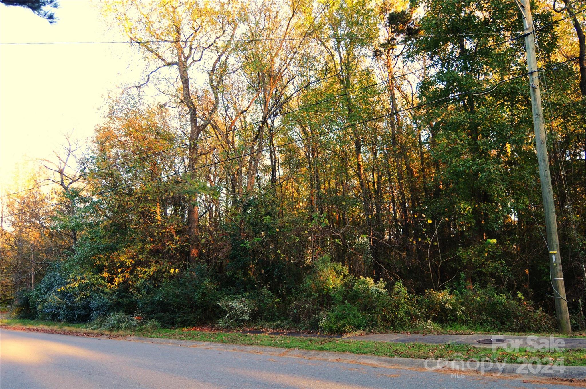 a view of a yard with a trees