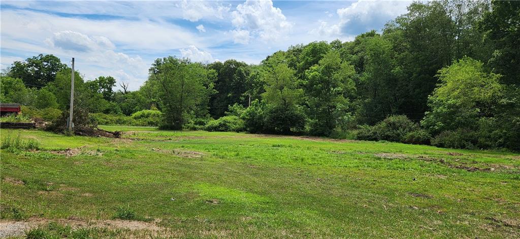 a view of a grassy field with trees in the background