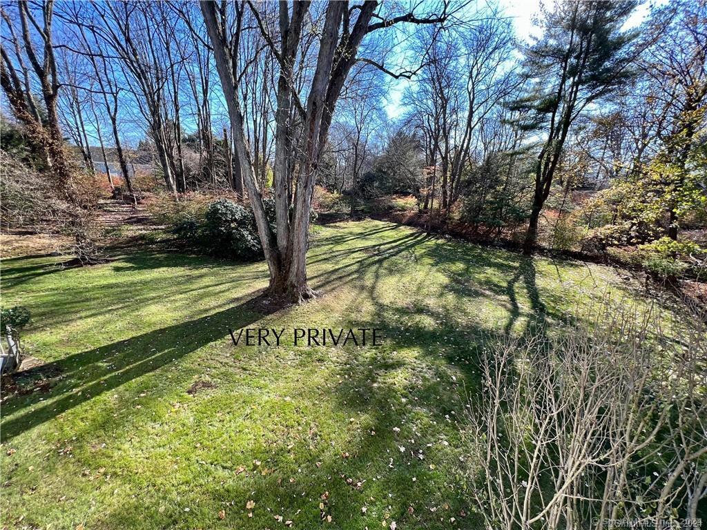 a view of a trees with a yard